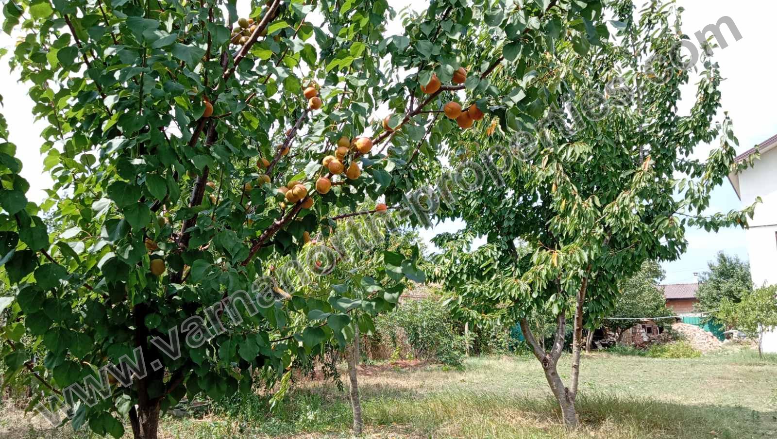 КЪЩА НА 15 КМ ОТ БАЛЧИК — снимка 33