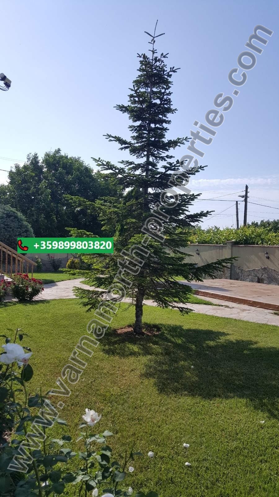 Двуетажна къща в село Езерец — снимка 6