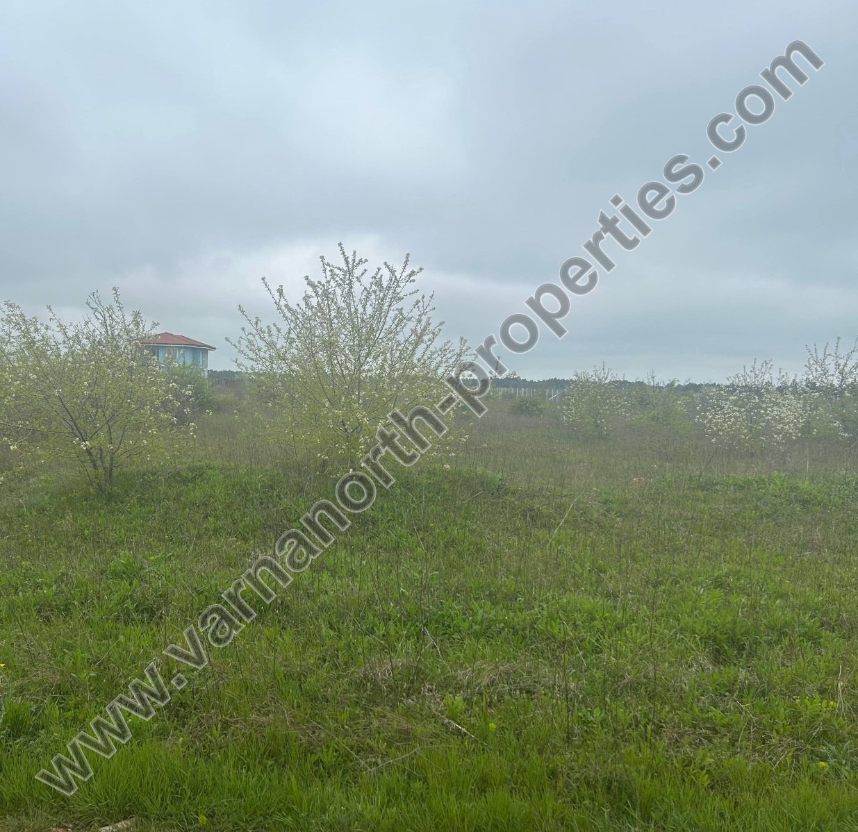 Парцел в Топола — снимка 2