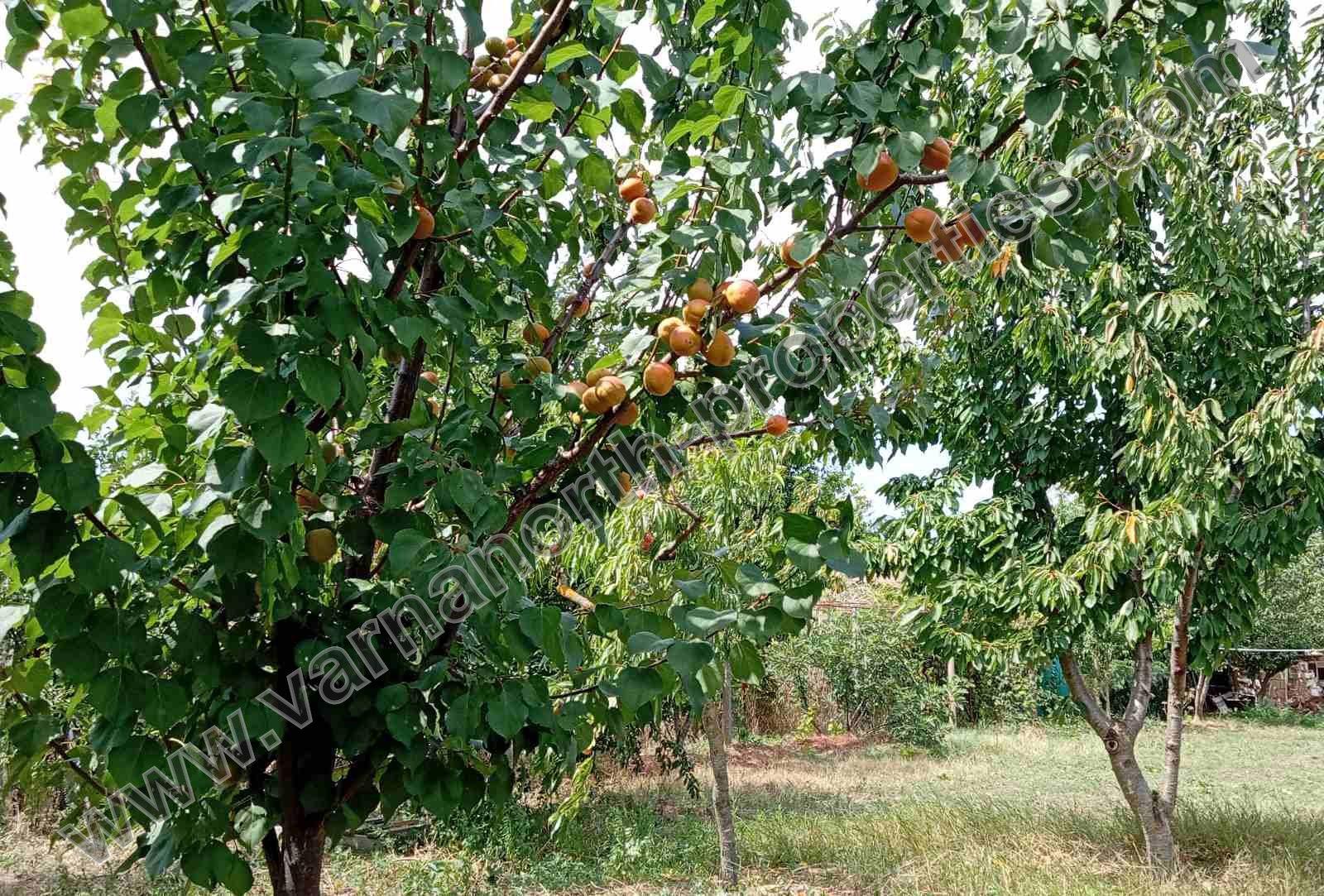 КЪЩА НА 15 КМ ОТ БАЛЧИК — снимка 29