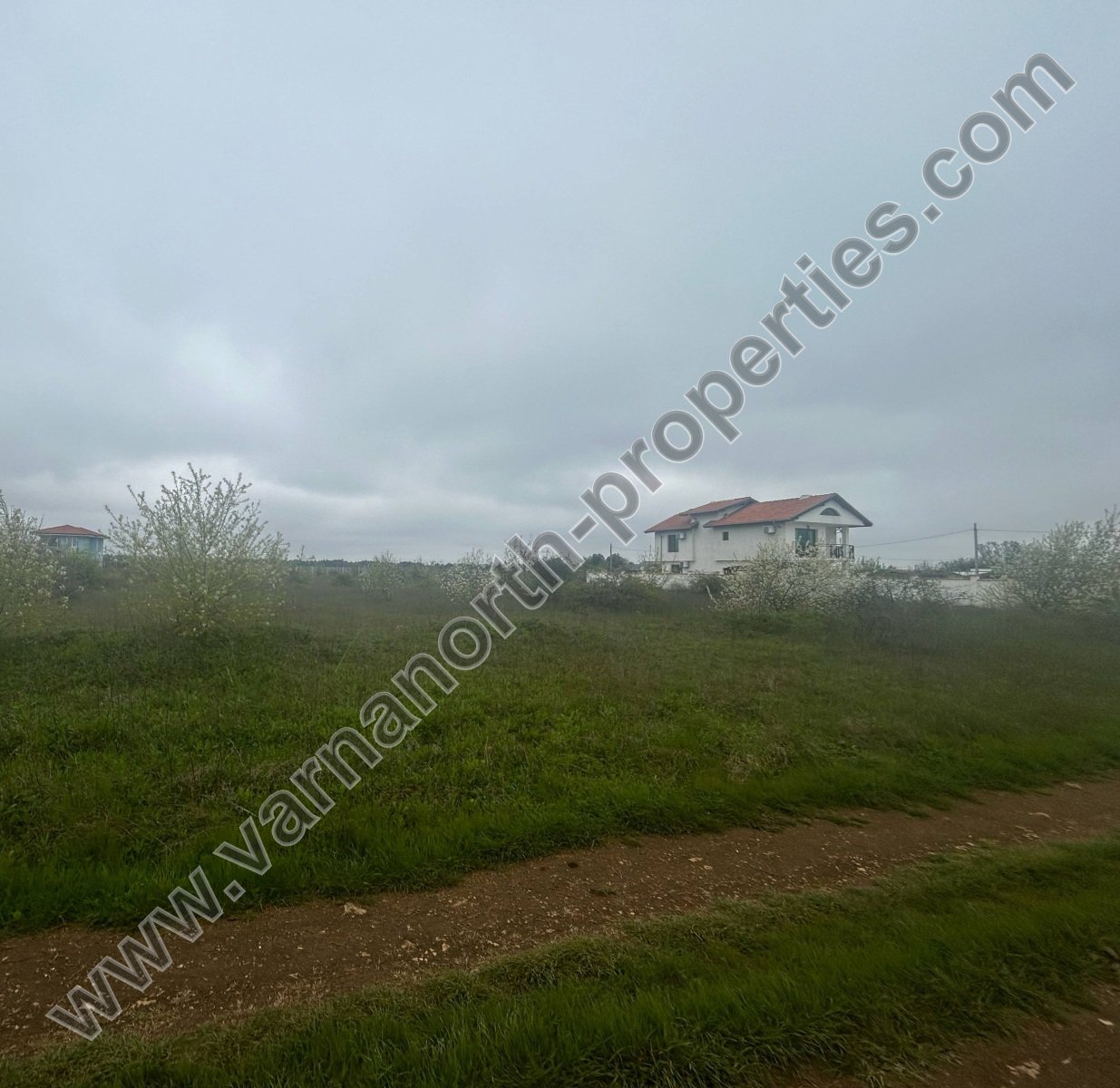 Парцел в Топола — снимка 7