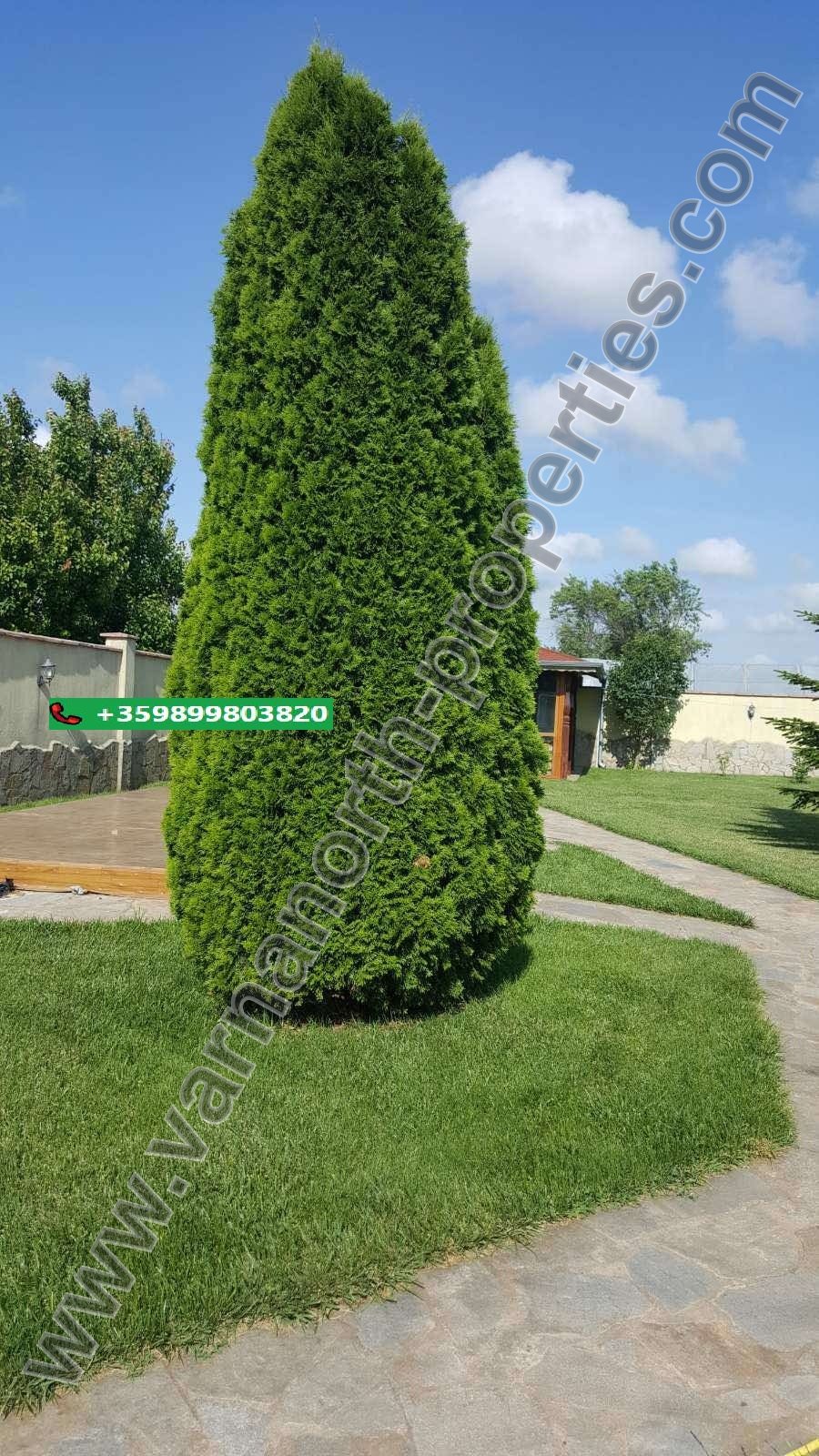 Двуетажна къща в село Езерец — снимка 5